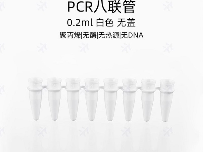 96孔PCR板的优势特点