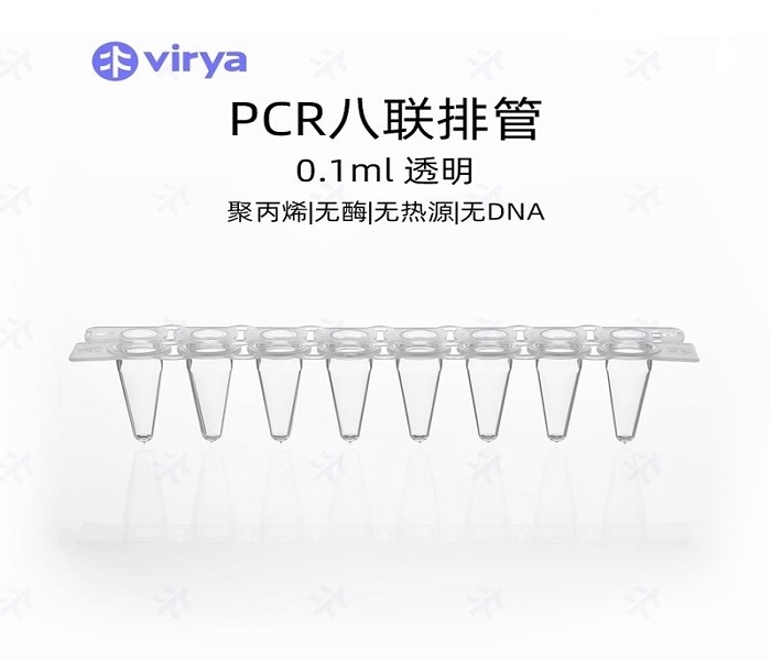 96孔PCR板的性价比分析