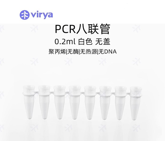 96孔PCR板的使用技巧